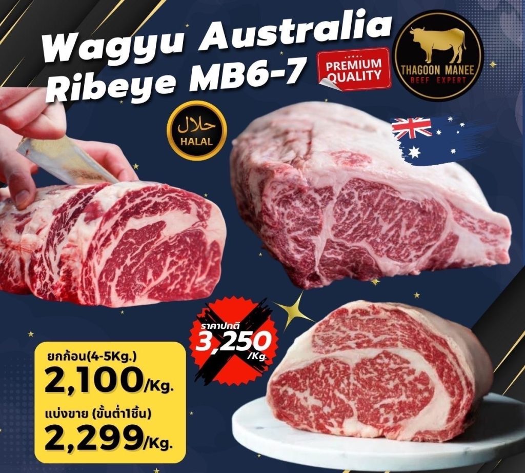 wagyu Australia ribeye mb6-7