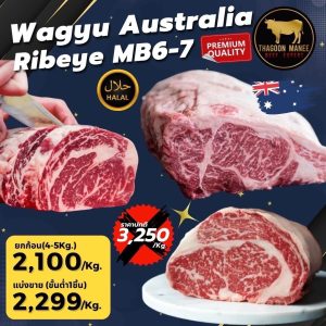 wagyu Australia ribeye mb6-7