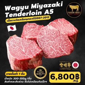 Wagyu miyazaki tenderloin a5