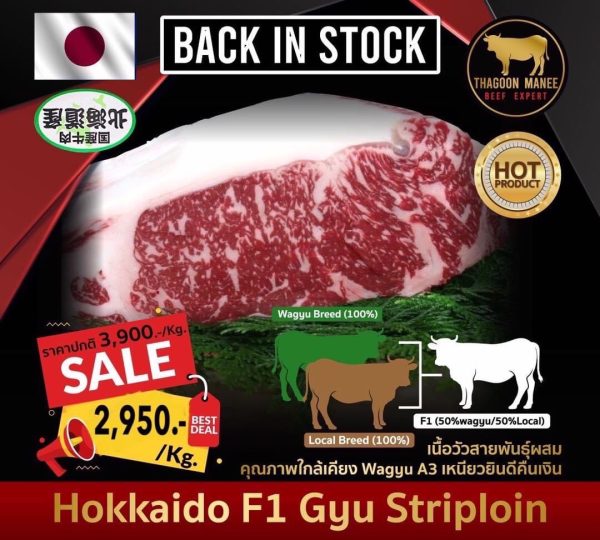 Hokkaido F1 Gyu Beef Striploin