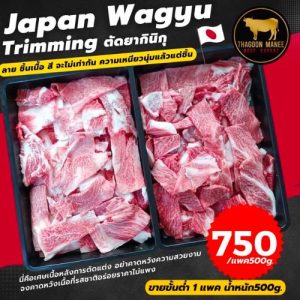 Japan Wagyu Trimming