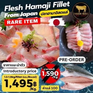 Flesh Hamaji Fillet From Japan