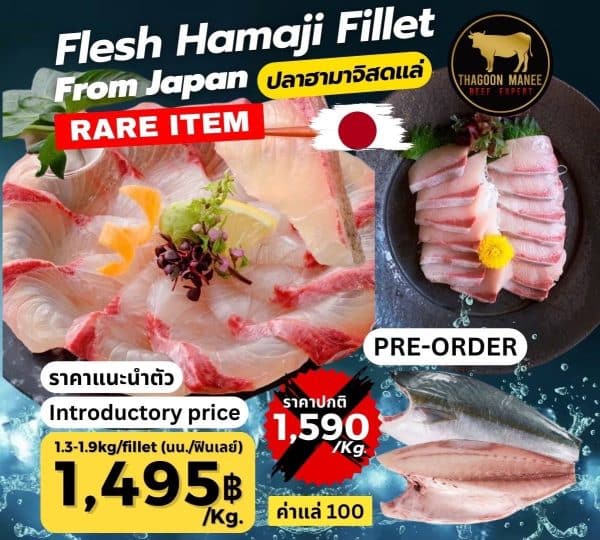 Flesh Hamaji Fillet From Japan