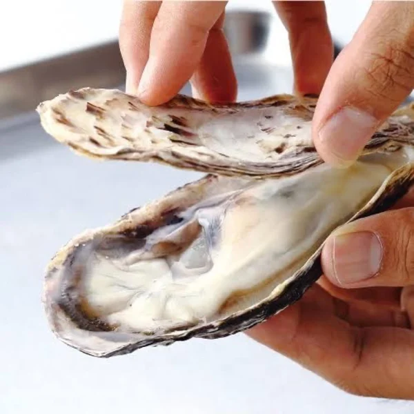 smart oyster fresh