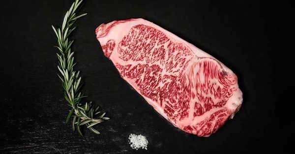 kiwami striploin mb9 full blood wagyu stockyard