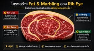 เจาะลึกโครงสร้าง "เนื้อ Rib Eye" เปิดลายแทงความอร่อยที่ผู้บริโภคยุคใหม่ต้องรู้