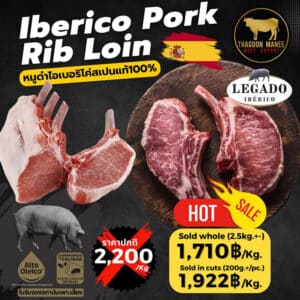 อินโฟกราฟิก Iberico Pork Rib Loin จากหมูดำไอเบอริโค่สเปนแท้ 100% พร้อมแผนภาพแสดงตำแหน่งเนื้อส่วน Rib Loin บนตัวหมู เนื้อพรีเมียมลายไขมันแทรกสวย เหมาะสำหรับสเต๊ก พอร์คชอป และเมนูย่างระดับพรีเมียม