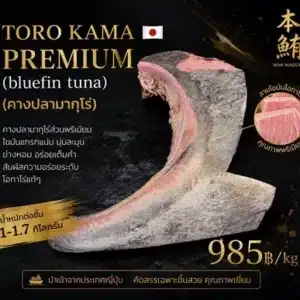 คางปลามากุโระ Toro Kama Premium บลูฟินทูน่านำเข้าญี่ปุ่น