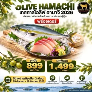 Olive Hamachi เนื้อปลาโอลีฟฮามาจิสด เกรดซาชิมิ (ยกฟิเลต 1–1.5 kg)